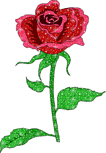 mawar